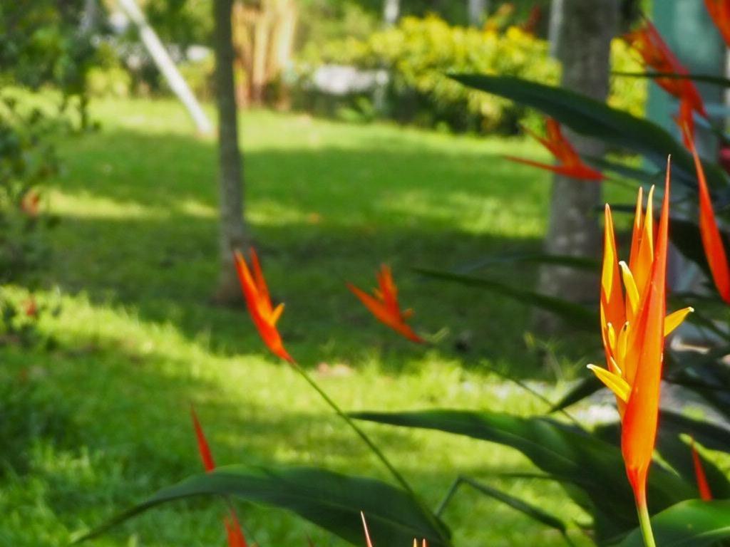 Navy Garden Hotel Chiang Saen Eksteriør billede